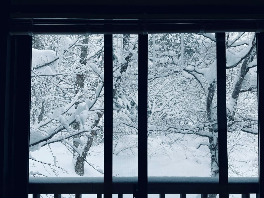 A snow-covered tree in a quiet winter